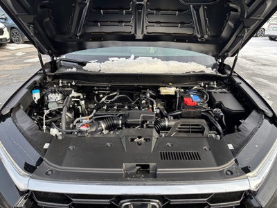 2026 Honda CR-V EX-L AWD
