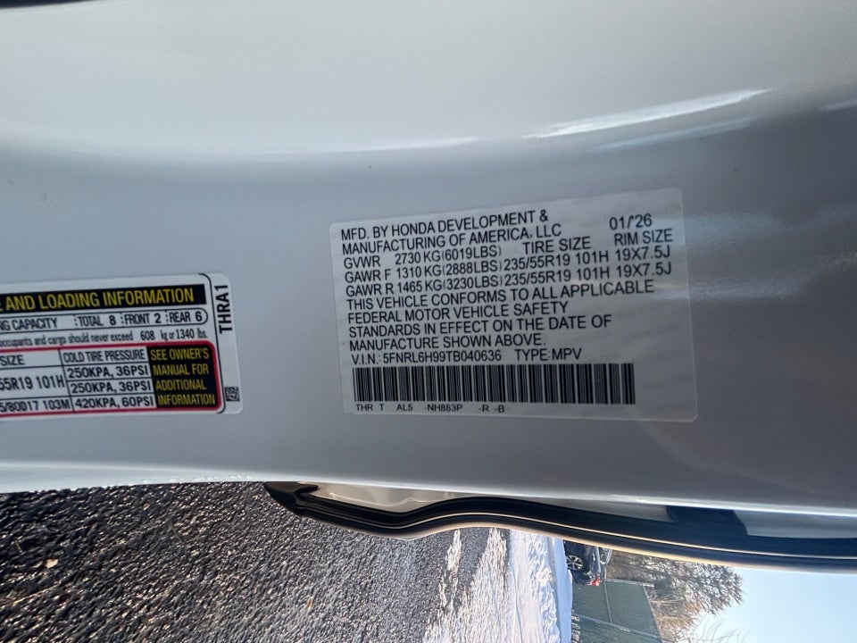 2026 Honda Odyssey Elite