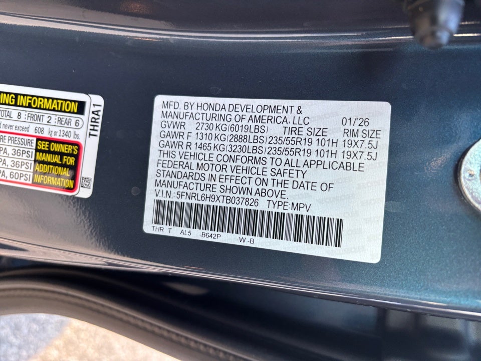 2026 Honda Odyssey Elite