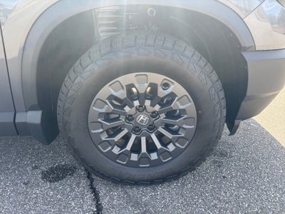 2026 Honda Passport AWD TrailSport