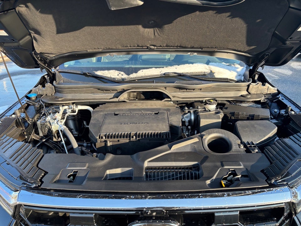 2026 Honda Pilot Elite