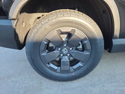 2026 Honda Passport RTL