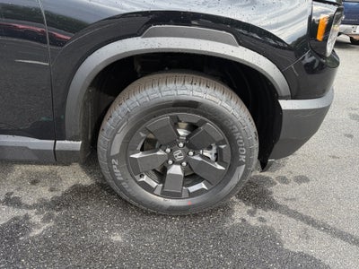 2026 Honda Passport RTL
