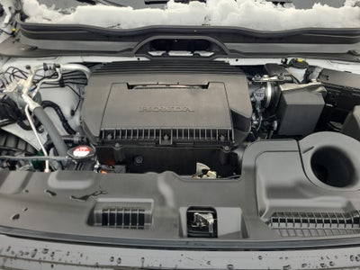 2026 Honda Passport AWD TrailSport Blackout